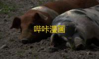 哔咔漫画